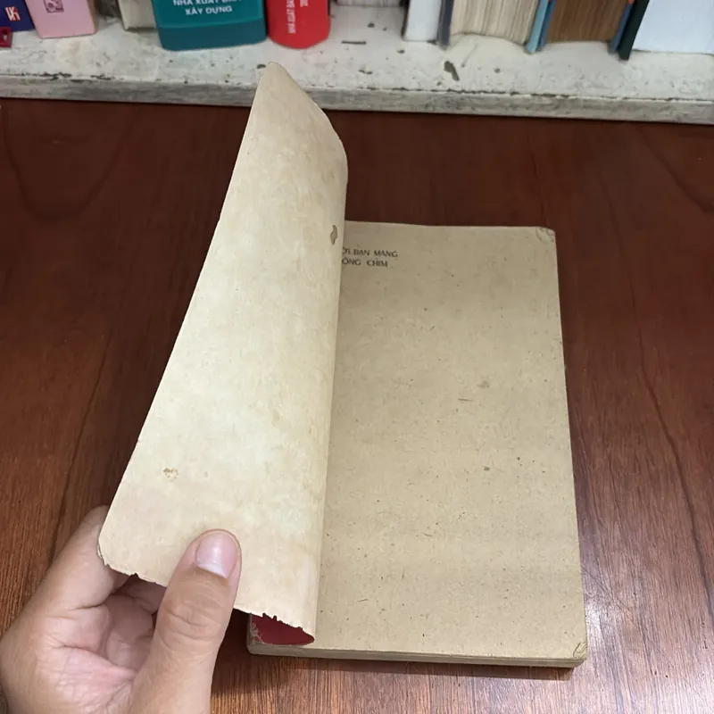 II Sách Xưa: Người Bạn Mang Bộ Lông Chim - Nhiều Tác Giả - 1986 605997