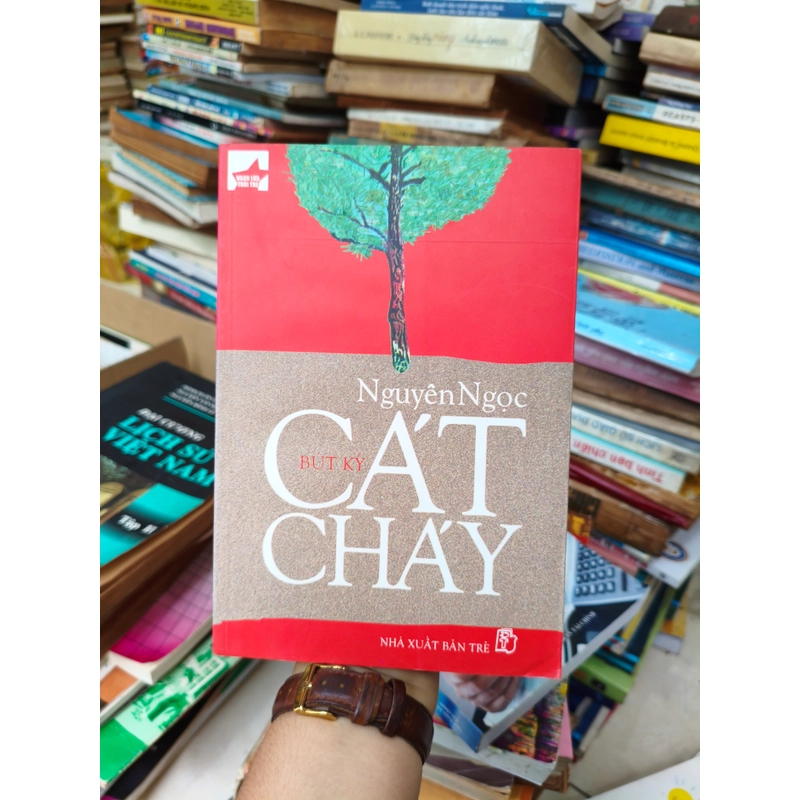 Cát cháy 🌱 462321