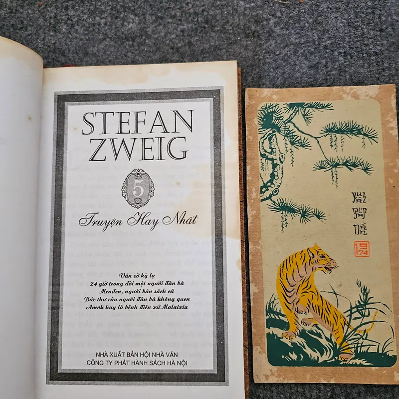 5 truyện hay nhất của Stefen zweig  734497