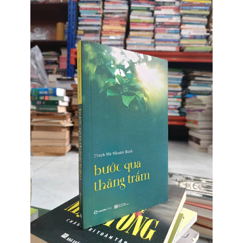 Bước qua thăng trầm - Thích Nữ Nhuận Bình 128889