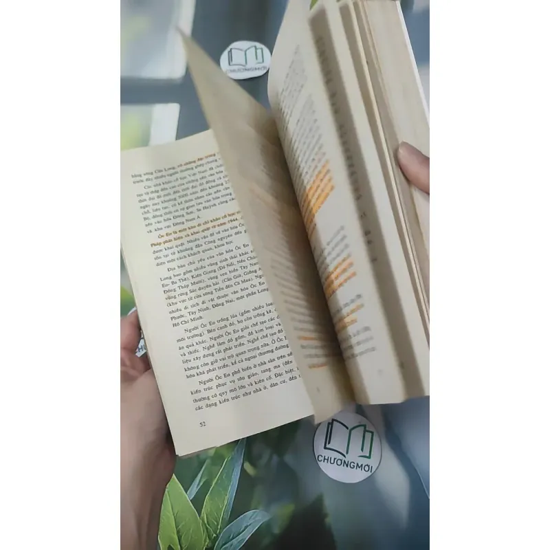 Tiến Trình Lịch Sử Việt Nam - Nguyễn Quang Ngọc 1018964