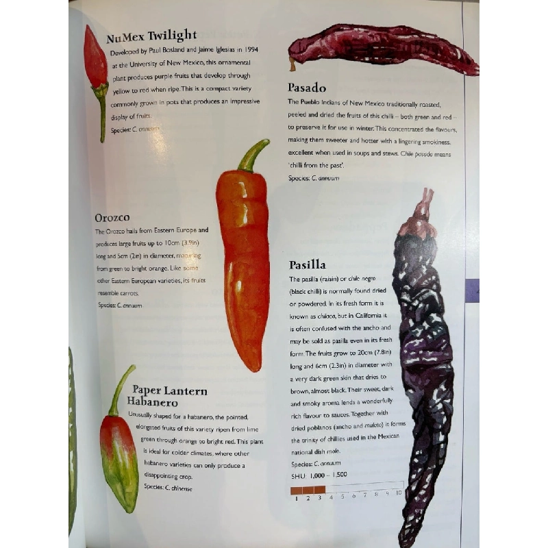 The hot book of chillies - David Floyd 927583