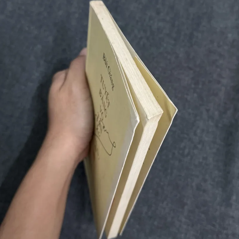 Tuyết băng vô tận xứ (Di cảo thơ III) - Bùi Giáng 786361