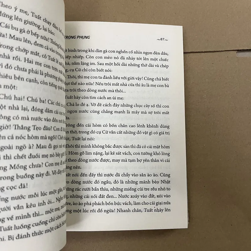 Vỡ đê       569185