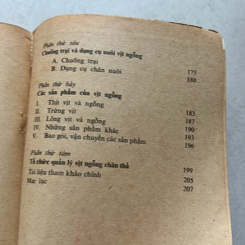 Nuôi vịt ngỗng chăn thả — 1979s 498350