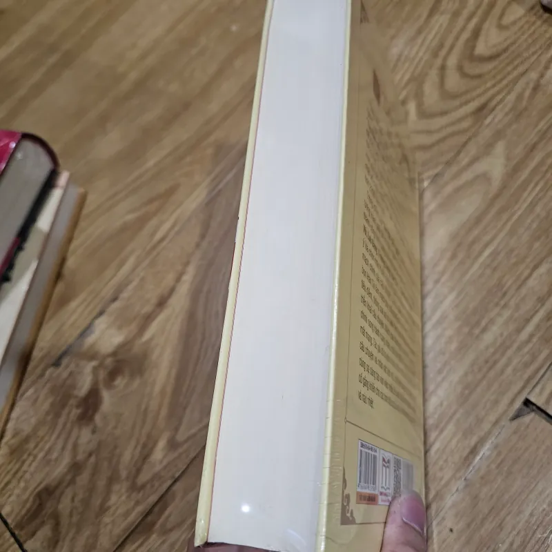 Tây Hán diễn nghĩa (bìa cứng)
154k 786039