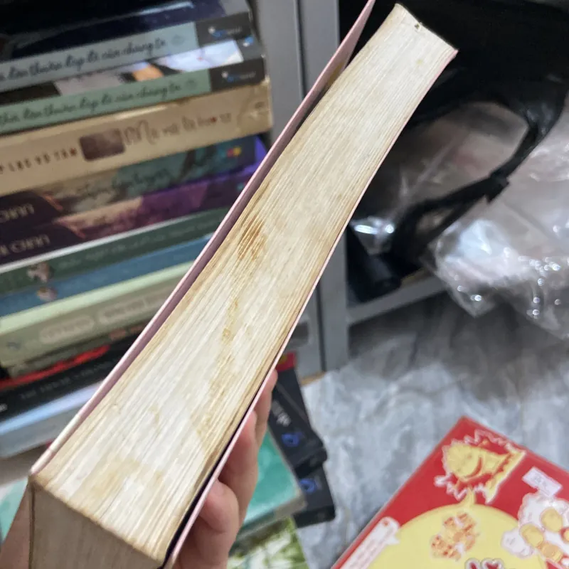 Hoá ra anh vẫn ở đây - Tân Di Ổ 970185