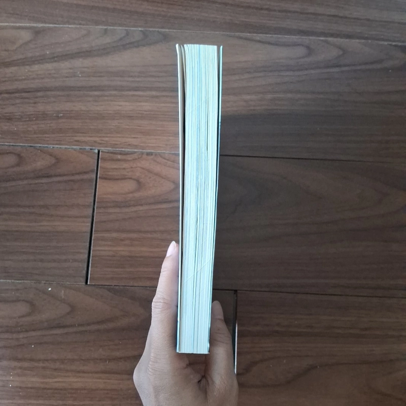 Một mình ở châu âu - phan việt 523574