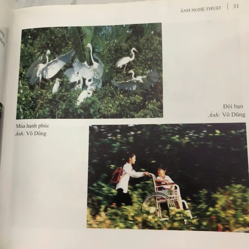 Ảnh Nghệ Thuật – Thu Đông, Võ Dũng 991857