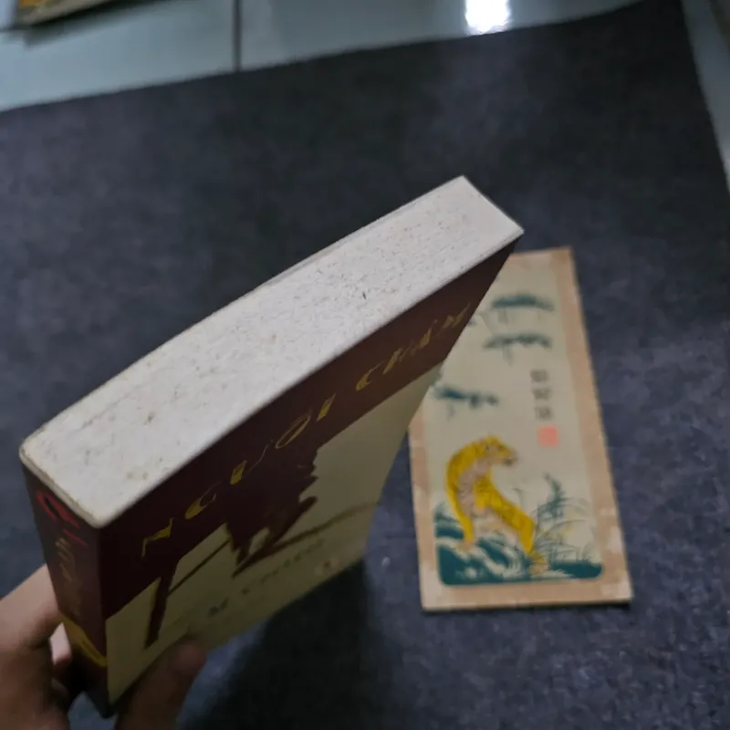 Người chậm - Coetzee 746283