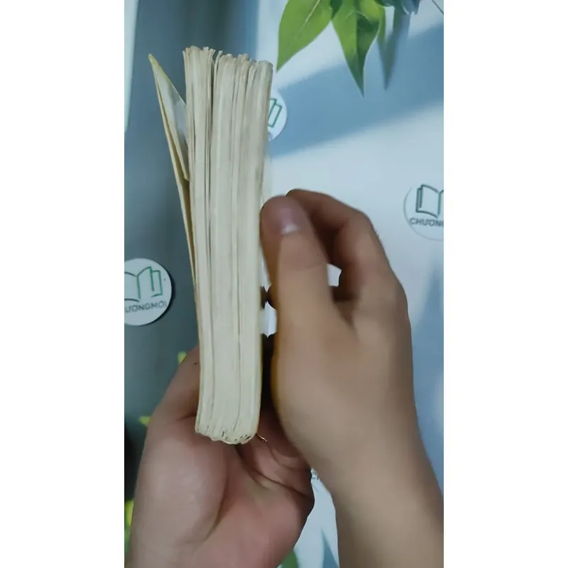 [XƯA] Vòng Tròn Bội Bạc (1999) - Chu Lai 798861