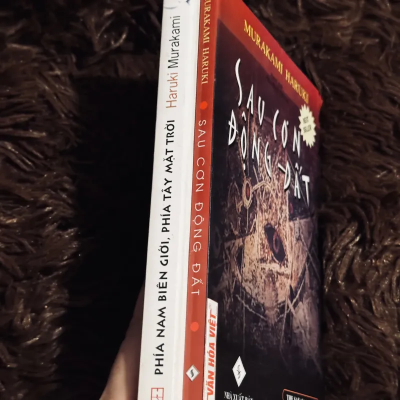 Sau cơn động đất + phía tây 997857