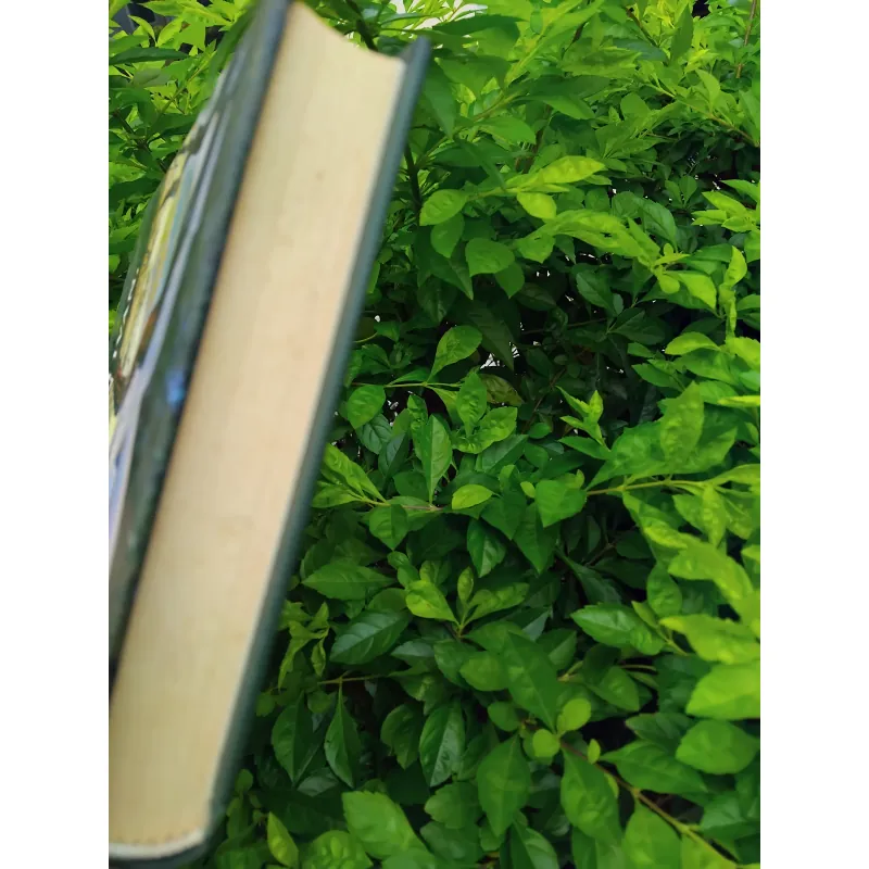 Con gái Ivan, mẹ Ivan của Valentin Rasputin  1002572