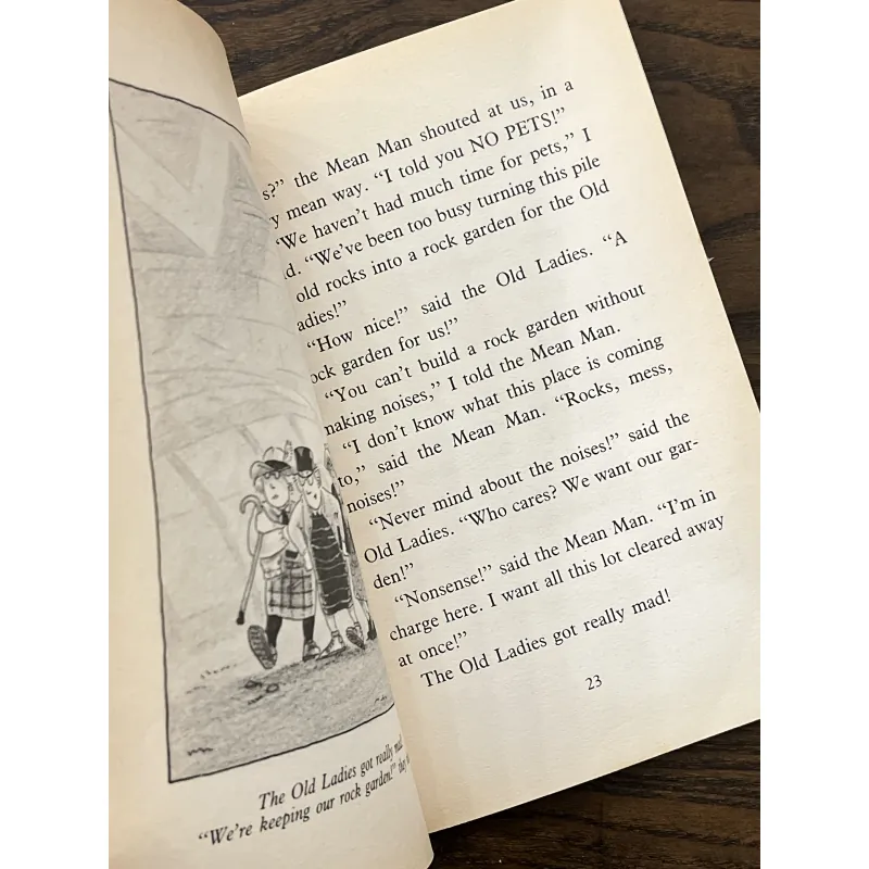 Our Sleepysaurus 975017