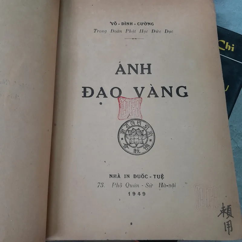 ÁNH ĐẠO VÀNG - VÕ ĐÌNH CƯỜNG 729068