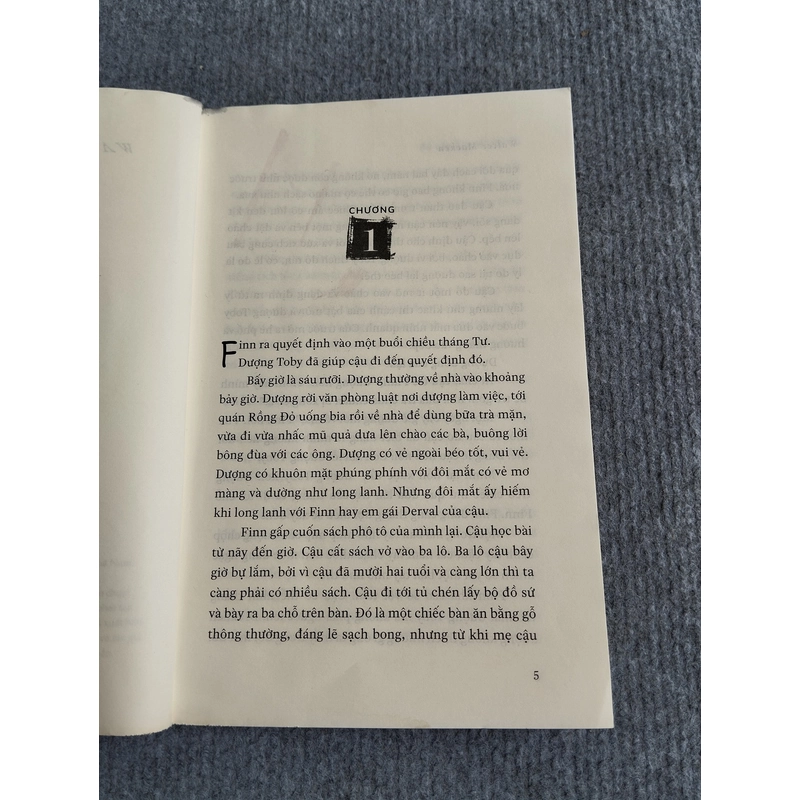 BỒ CÂU BAY ĐI TÌM BÀ - WALTER MACKEN 552816