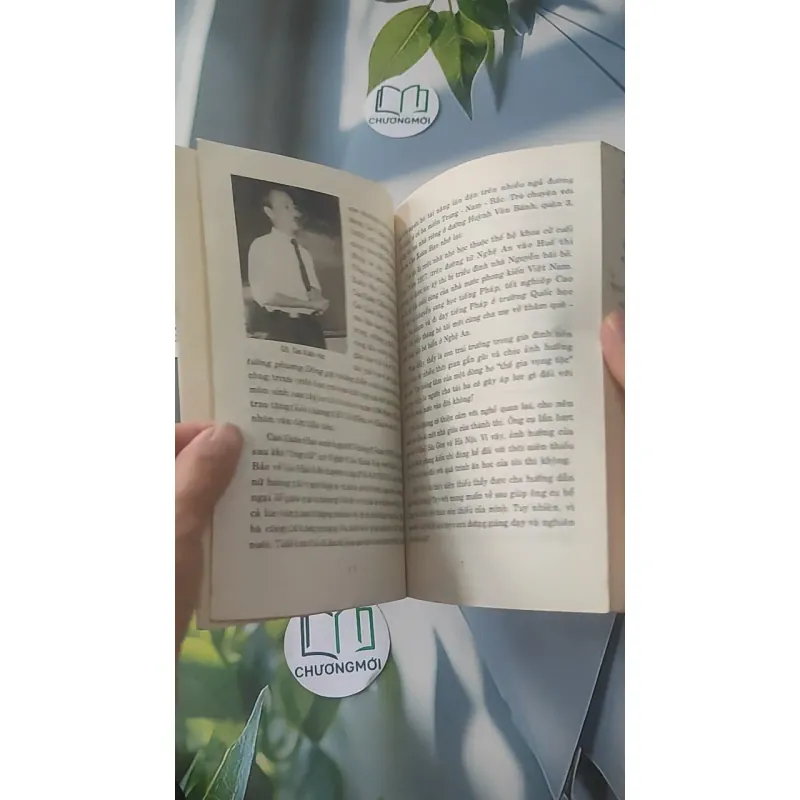 Dạ, Thưa Thầy - Phan Hoàng 928525