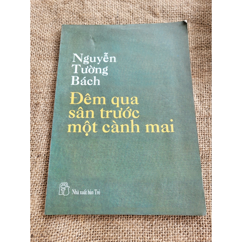 Nguyễn Tường Bách: Đêm qua, sân trước một cành mai  369423