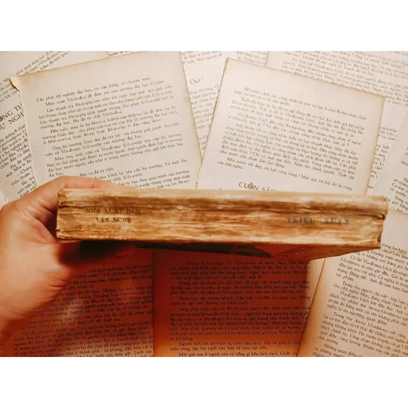 Trả Giá - Triệu Xuân 746343