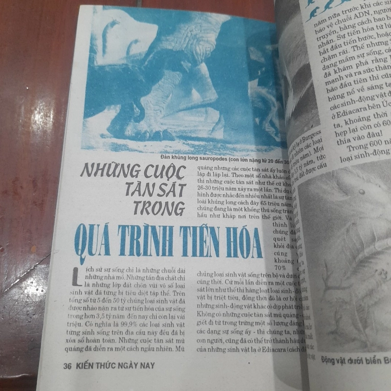 Bán nguyệt san KIẾN THỨC NGÀY NAY số 118 ngày 1-9-1993 508868