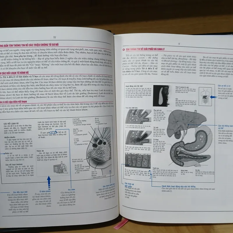 Từ Điển Bách Khoa Y Học Anh Việt (A - Z) - GS Ngô Gia Hy 398113