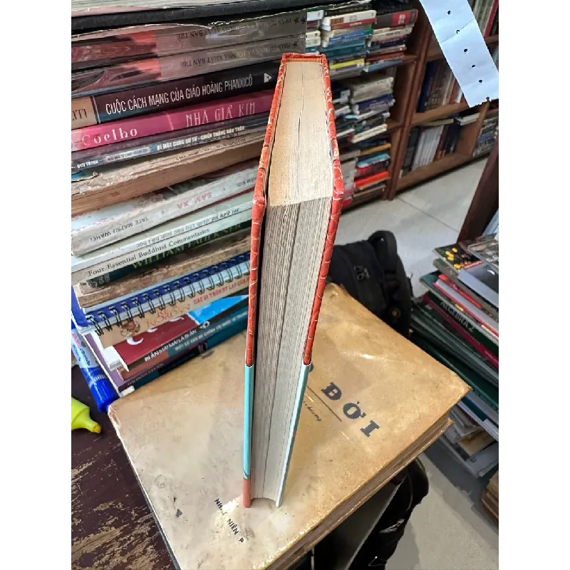 Bringing Home the Birkin - Michael Tonello 597319