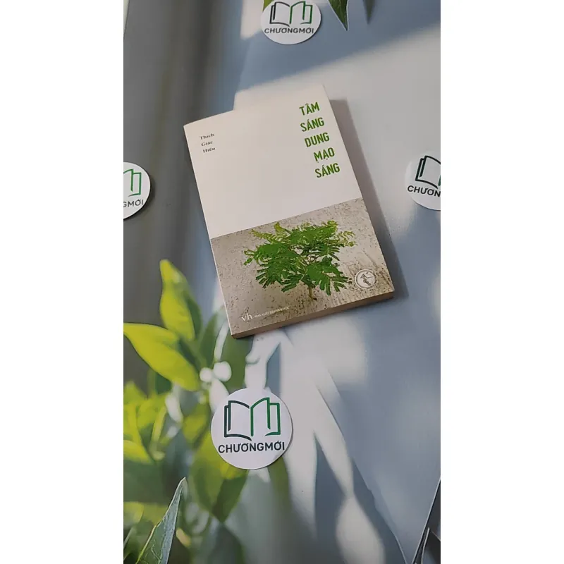 Tâm Sáng Dung Mạo Sáng - Thích Giác Hiếu 928541