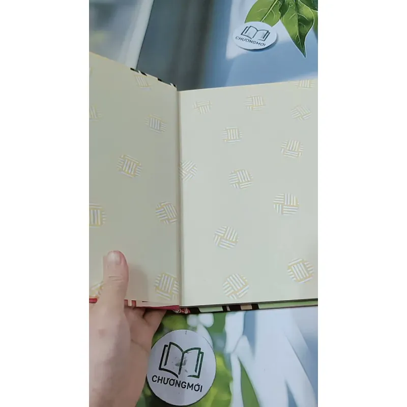 [Tặng nẹp góc] Truyện thiếu nhi Hàn Quốc: Moyamo Anu 57 -  모야모 아누와: 허풍쟁이 거미 아난시의 흔들 모자 춤; 732062