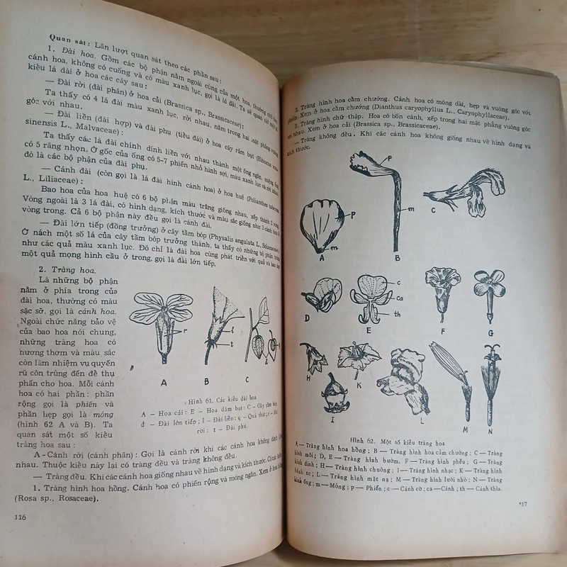 Thực Tập Hình Thái Và Giải Phẫu Thực Vật (Xb 1981) - Trần Công Khánh 446524