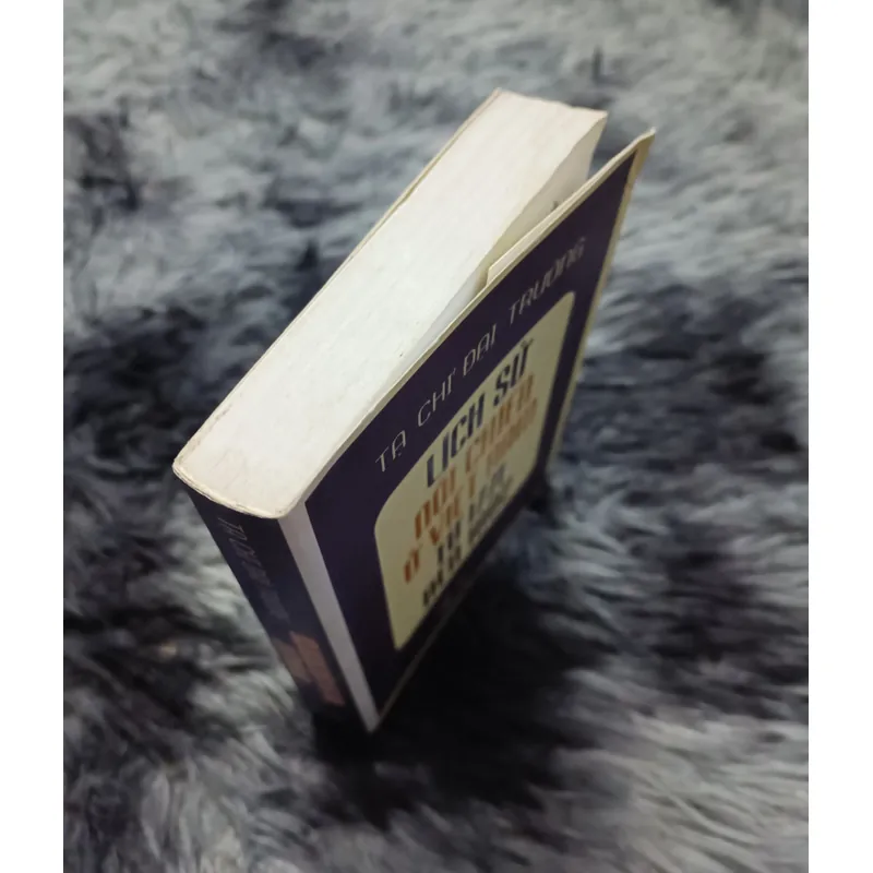 Lịch sử nội chiến ở Việt Nam từ 1771 đến 1802 (Tạ Chí Đại Trường) 700565