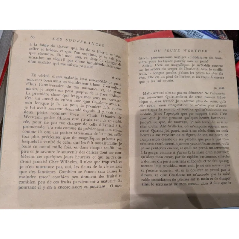 Souffrances du jeune Werther - Gœthe 602708