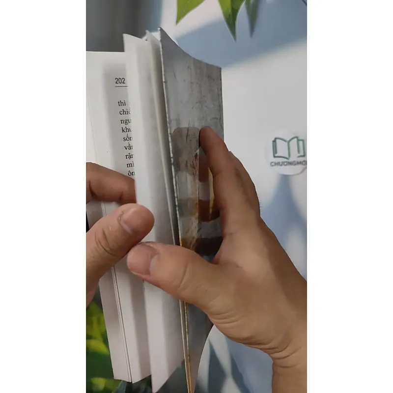 Đất Thiêng - Vũ Thiên Khải 798359