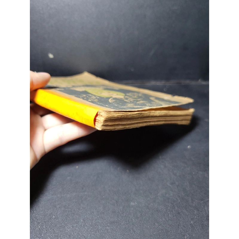 Con chim trốn tuyết mới 70% ố vàng, có vệt nước 1986 HCM1001 Paul Gallico VĂN HỌC 918874