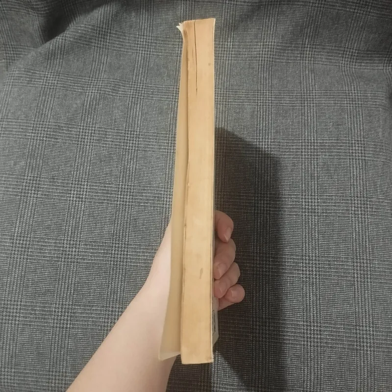 Mastering English Usage - Robert Ilson & Janet Whitcut - 1996 - NXB Trẻ 597059