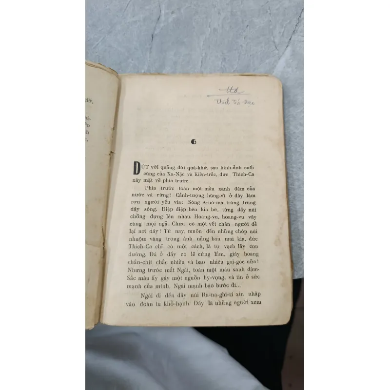 ÁNH ĐẠO VÀNG - VÕ ĐÌNH CƯỜNG 755183