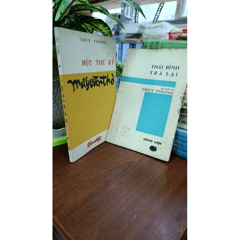 MỘT THẾ KỶ - THÁI BÌNH TRẢ LẠI - TRUY PHONG 716504