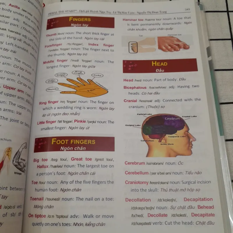 PEHAL THE START. Học từ vựng tiếng Anh bằng hình ảnh Chủ đề.Cb VIKRANT ROBIN 594678