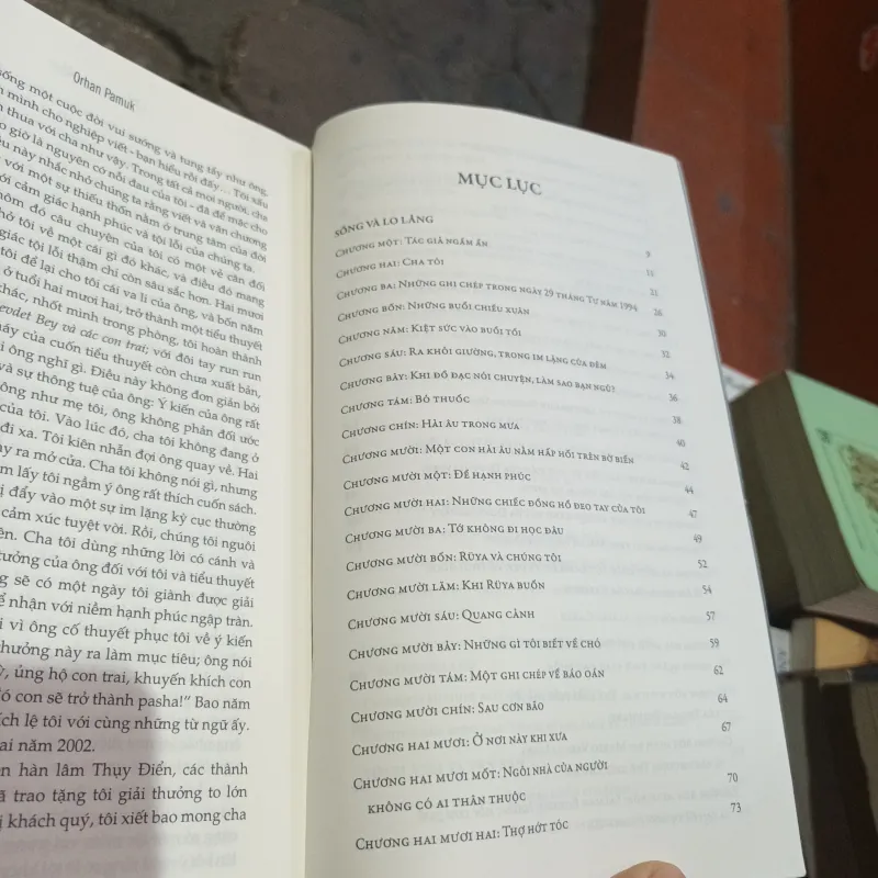 Tiểu Luận Những Màu Khác - Orhan Pamuk 759255