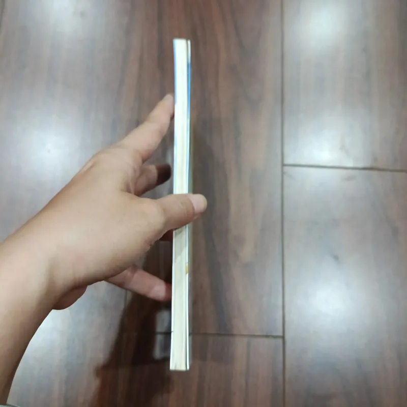 Chuyện con mèo dạy hải âu bay 1036387