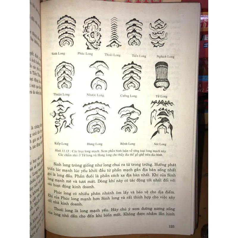 Tri thức cổ đại hoà nhập trong đời sống hiện đại - Phong thuỷ  707681
