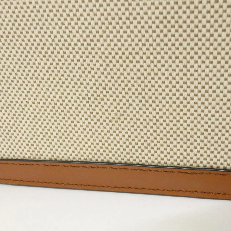 Túi xách vai Celine Teen Triomphe 188882BGI 611504