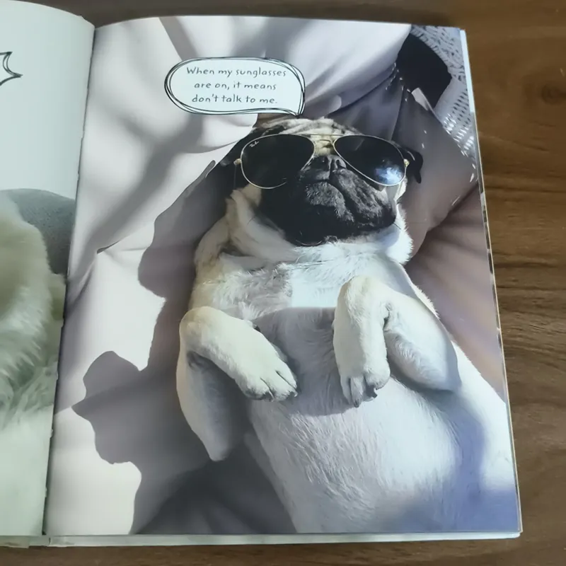 Doug the Pug - King of the Internet - Leslie Mosier 697452