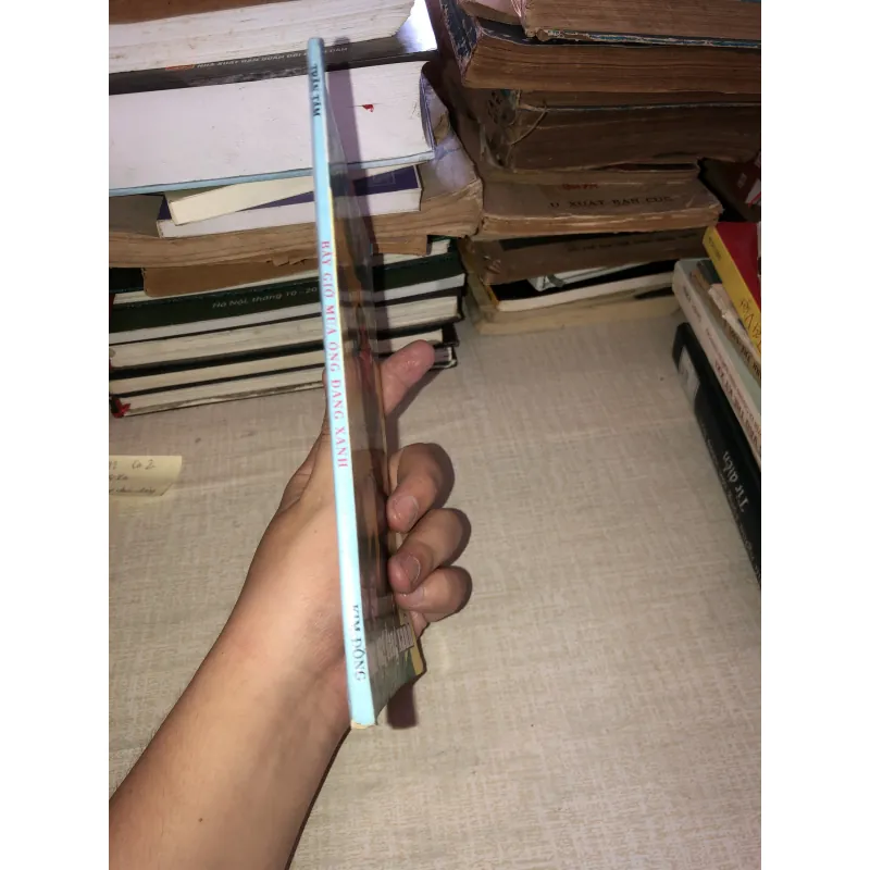 Bây giờ mùa ỏng đang xanh- Trần Tâm 971684