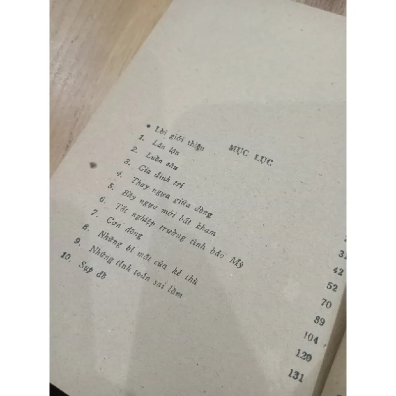 Hai mươi mùa xuân thầm lặng - Mai Thanh Hải 567784