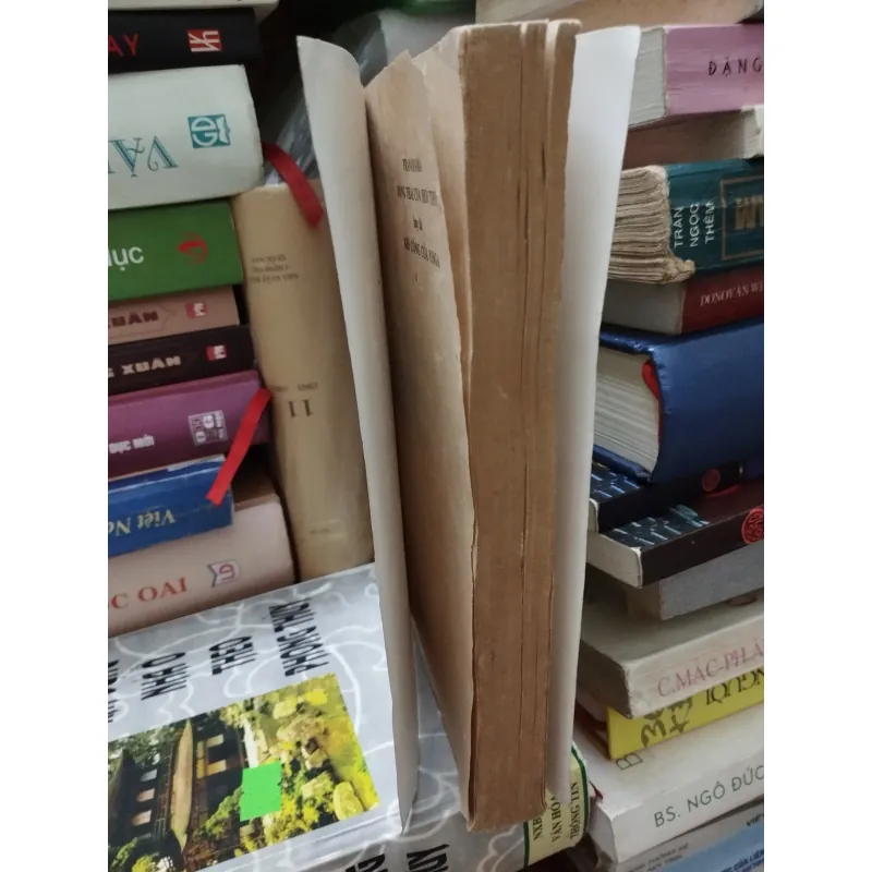 PRANAYAMA ĐỘNG THÁI CỦA HƠI THỞ 996562