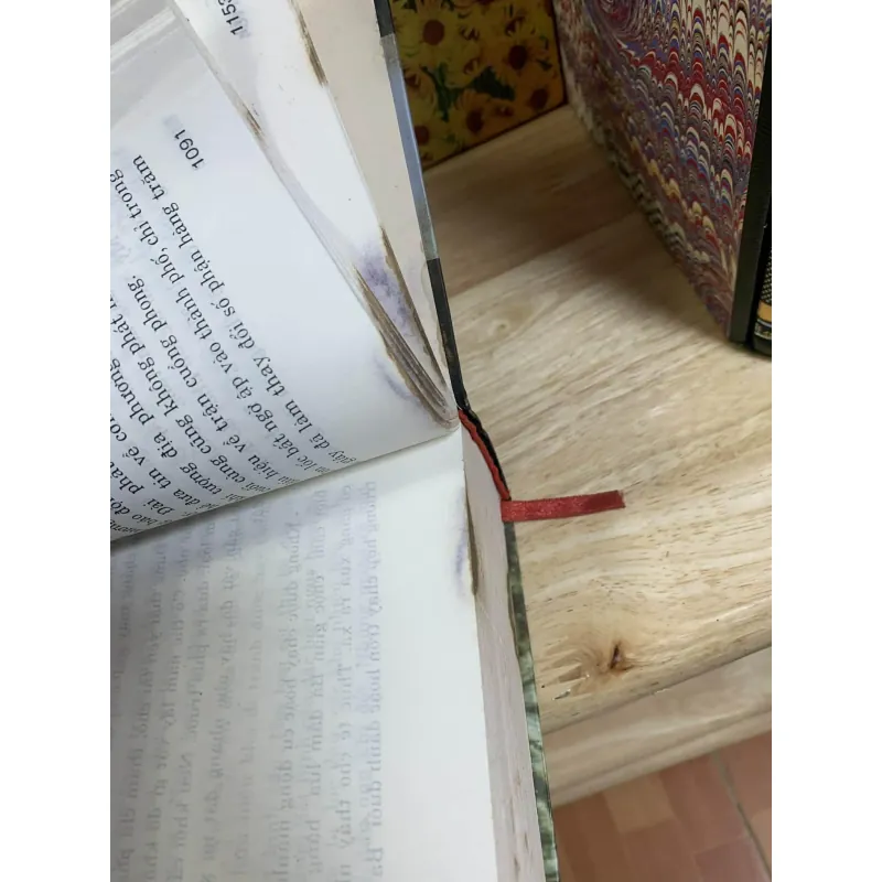 Đi Tìm Tuổi Đất Tuổi Trời - Bìa Cứng Dày Nội Dung Nhiều 754764