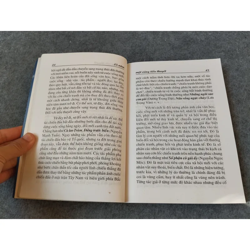 25 NĂM MỘT VÙNG TIỂU THUYẾT 717956