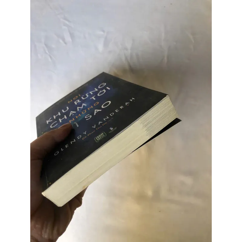 Nơi Khu Rừng Chạm Tới Những Vì Sao - Where the Forest Meets the Stars | Glendy Vanderah 926246