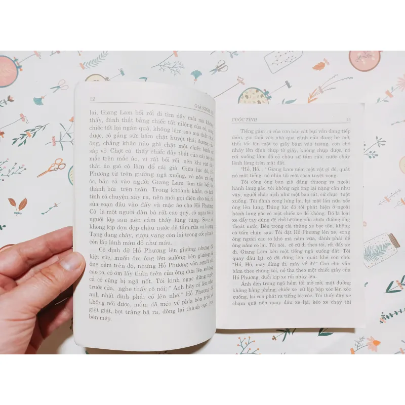 Cuộc Tình - Giả Bình Ao 782204