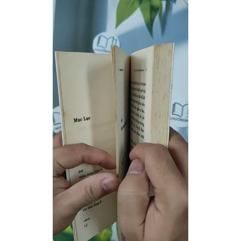 Ngày mai của những ngày mai - Nguyễn Ngọc Tư 798387